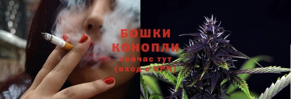 трава Нязепетровск