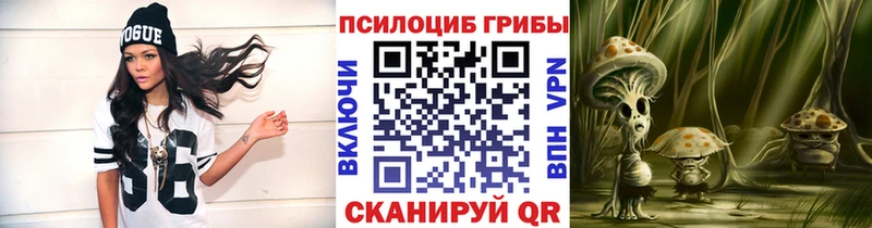 купить наркоту Южа это клад Галлюциногенные грибы Cubensis ссылка на мегу онион